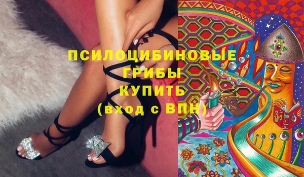 МДПВ Алексин