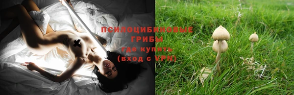 амф Абдулино