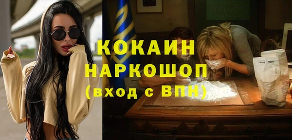 хмурый Алзамай