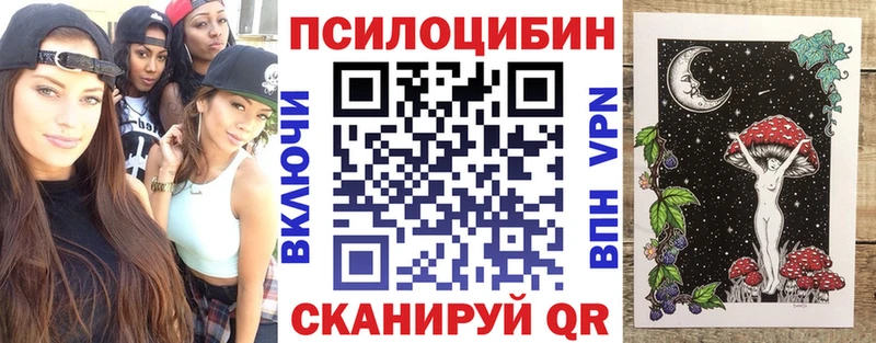 Псилоцибиновые грибы Cubensis  где можно купить   Усолье-Сибирское 