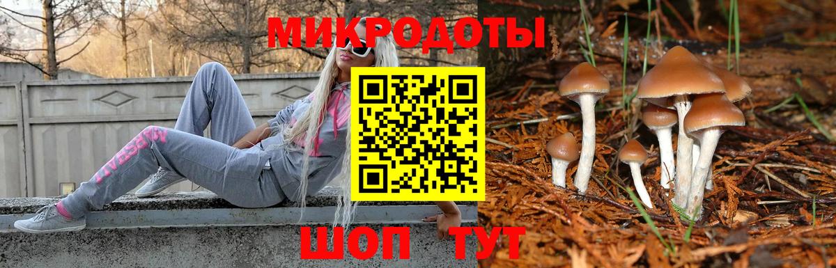 Усолье-Сибирское  Псилоцибиновые грибы Magic Shrooms  Вход с VPN 