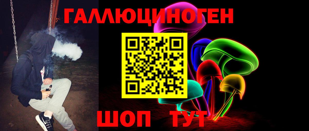 Псилоцибиновые грибы Psilocybe Усолье-Сибирское